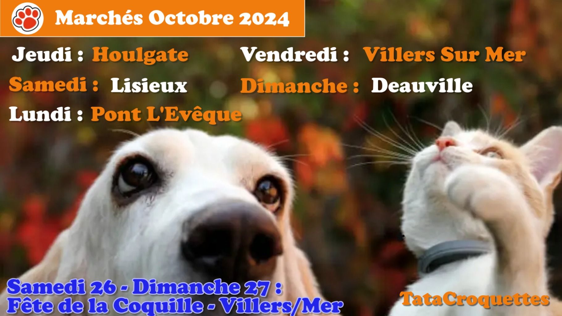 marches_octobre_2024.jpg